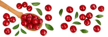 Beyaz arka planda yaban mersini ve ahşap kaşık. Üst Manzara. Düz yatıyordu,