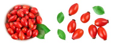 Seramik kasedeki gül kalça, beyaz arka planda izole edilmiş, geniş bir alana yayılmış. Üst Manzara. Düz yatıyordu