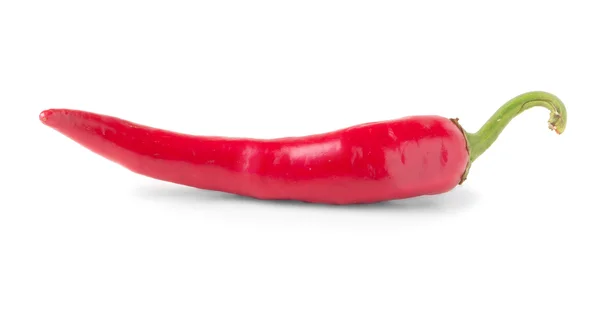 Piment rouge isolé — Photo