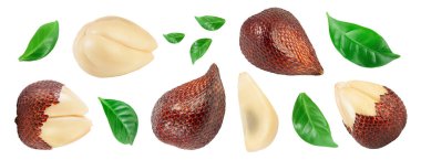 Yılan meyvesi beyaz arka planda izole edilmiş, geniş bir alana yayılmış, Üst Manzara. Düz yatıyordu