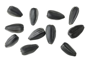 Beyaz arka planda izole edilmiş ayçiçeği tohumları. Üst Manzara. Düz yatıyordu.