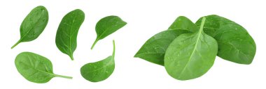 Bebek ıspanak yaprakları beyaz arka planda izole. Üst Manzara. Düz yatıyordu.