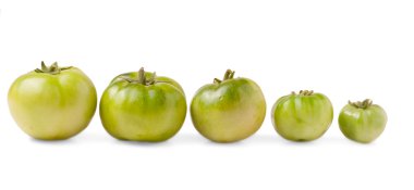 Yeşil domates