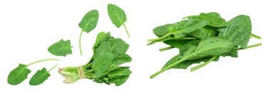 taze ıspanak kopya alanı metniniz için beyaz zemin üzerine izole. Üstten Görünüm. Düz yatıyordu.