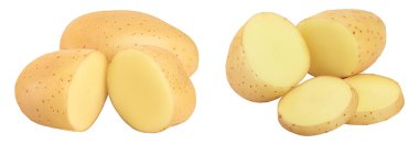 Genç patates beyaz arka planda izole edilmiş. Yeni hasat.