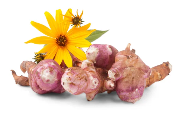 Jerusalem artichoke — Stock Photo, Image