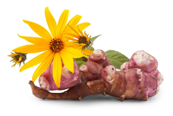 Jerusalem artichoke — Stock Photo, Image