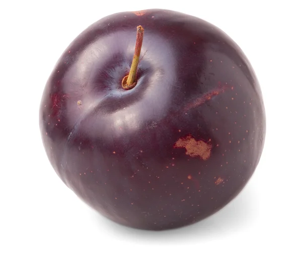 Buah plum merah — Stok Foto