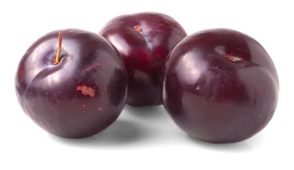 Red plum fruit — Stock Photo, Image