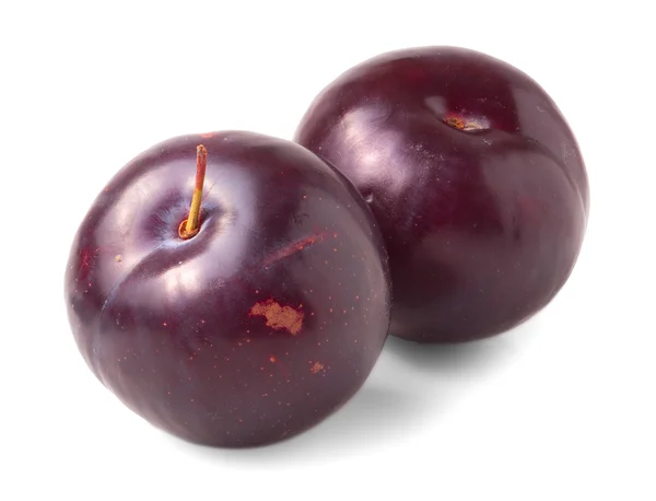 Buah plum merah — Stok Foto