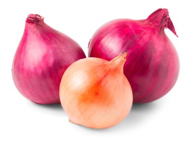 Kırmızı soğan ampul