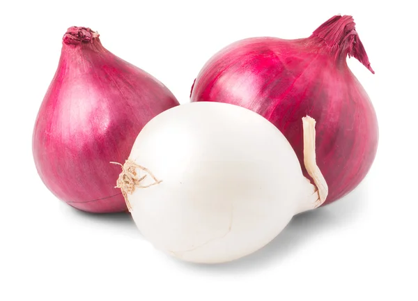 Red onion bulb — Stock Photo, Image