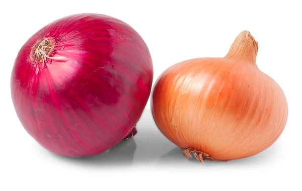 UI plantaardige bollen — Stockfoto