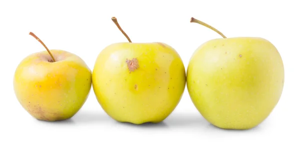 Três maçãs amarelas — Fotografia de Stock