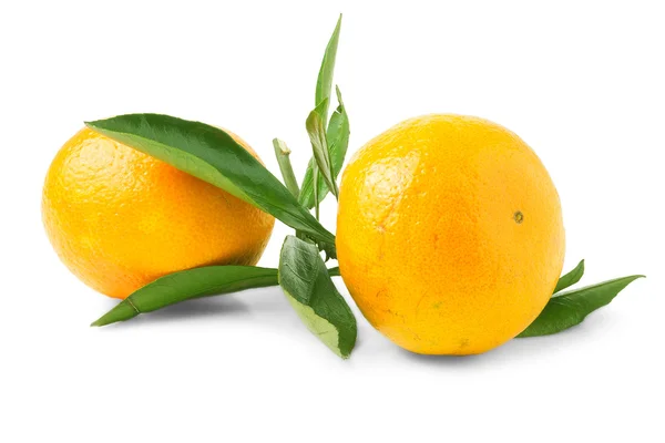 Dos mandarinas naranjas con hoja verde — Foto de Stock