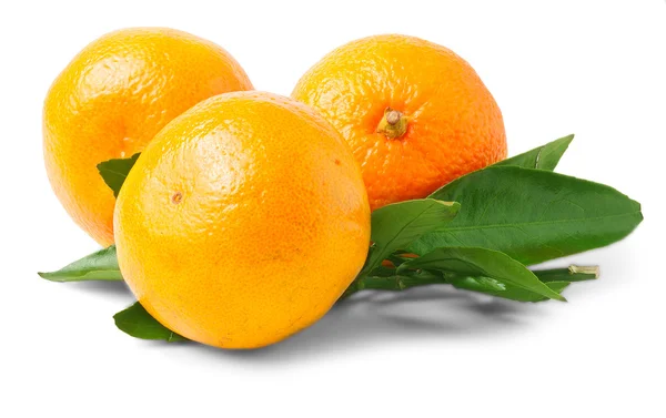 Tres mandarinas maduras aisladas — Foto de Stock