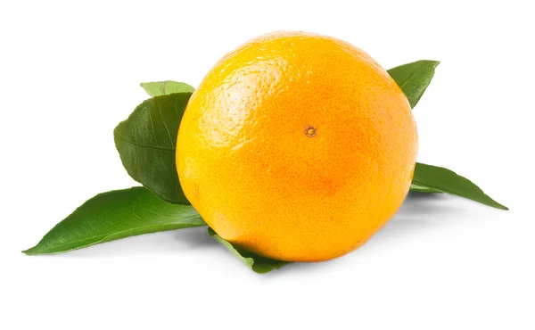 Tangerine geïsoleerd op wit — Stockfoto