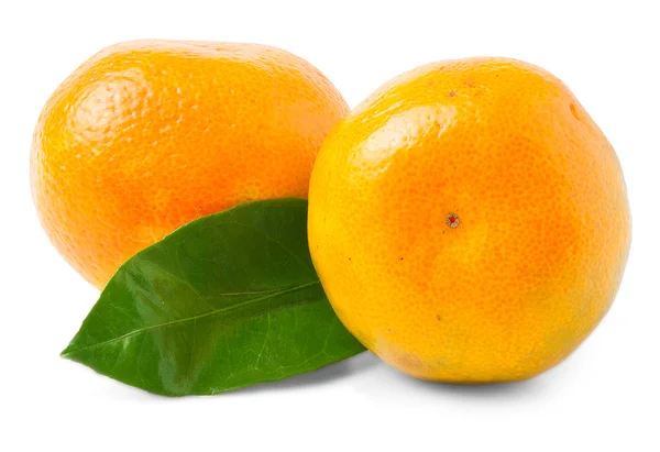 Pair of fresh mandarin oranges — Stock Photo, Image