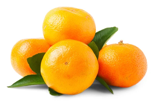 Четыре свежих мандаринских апельсина — стоковое фото