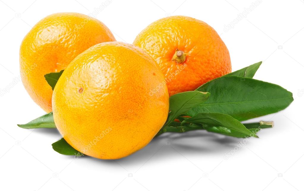 Three ripe mandarins isolated