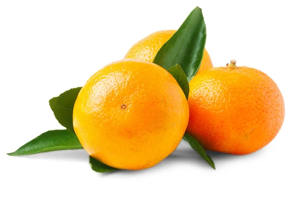 Drie rijpe mandarijnen geïsoleerd — Stockfoto