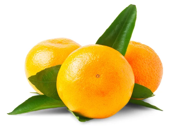 Tres mandarinas maduras aisladas — Foto de Stock