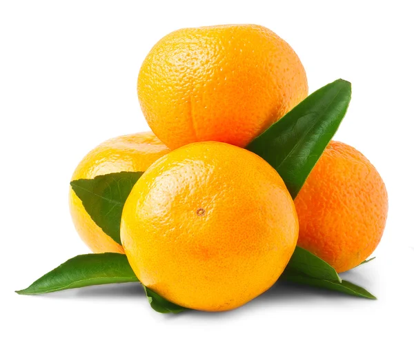 Cuatro naranjas frescas de mandarina — Foto de Stock