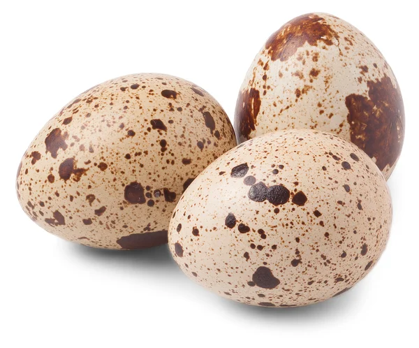 Trzy jaja przepiórcze na białym tle — Zdjęcie stockowe