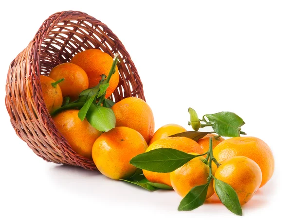 Tangerinas maduras orgânicas em cesta sobre fundo branco — Fotografia de Stock