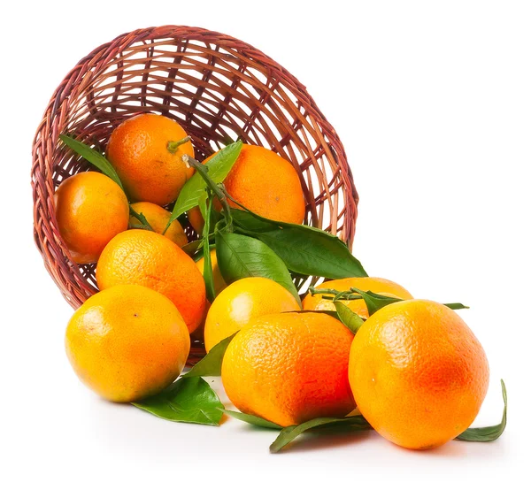 Органические спелые мандарины в корзине на белом фоне — стоковое фото