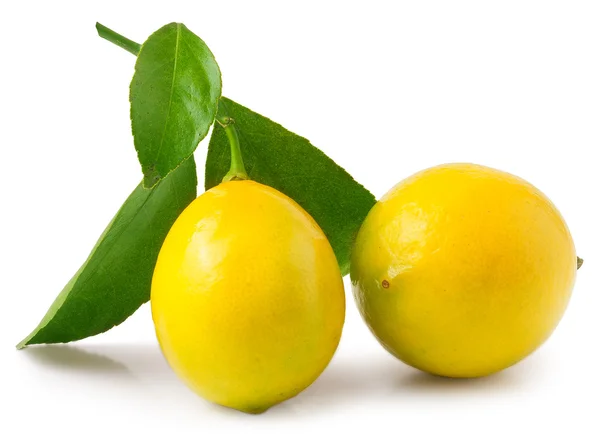 Zwei Zitronen mit Blatt — Stockfoto