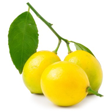 İzole beyaz zemin üzerinde üç limon