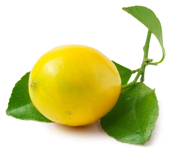 Citron med leaf isolerad på vit — Stockfoto