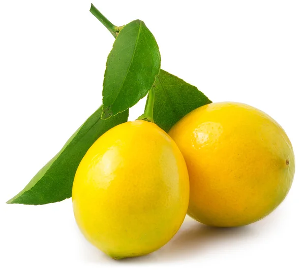 Свіжі лимони з зеленим листям ізольовані на білому фоні — стокове фото