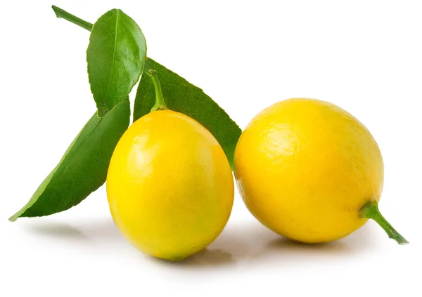 Limones frescos con hojas verdes aisladas sobre fondo blanco — Foto de Stock