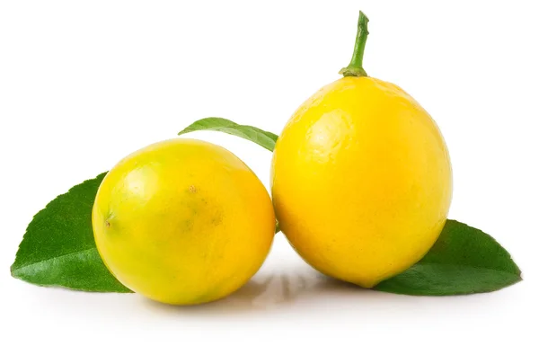 Two lemons with leaf — Φωτογραφία Αρχείου