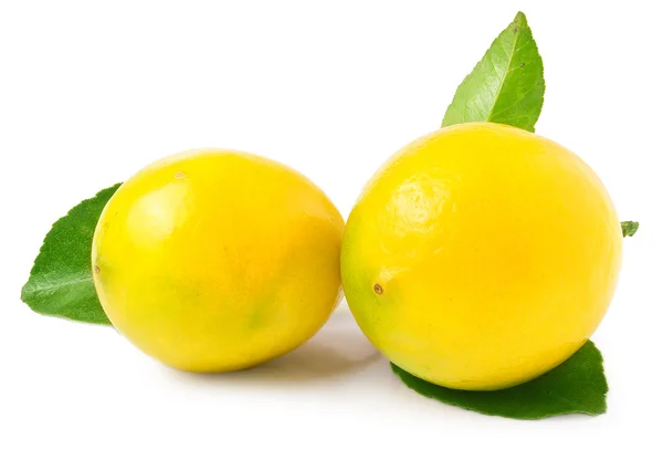 Limões com folhas em um fundo branco — Fotografia de Stock