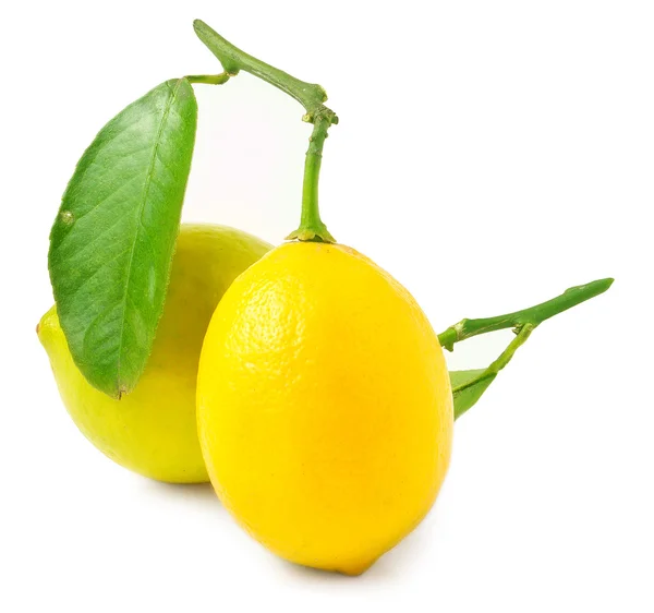 Due limoni su fondo bianco — Foto Stock