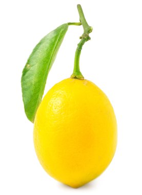 Limon yaprağı üzerinde beyaz izole