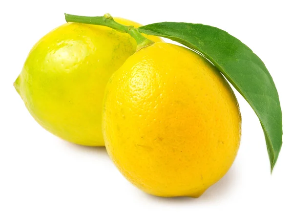 Two lemons with leaf — Φωτογραφία Αρχείου