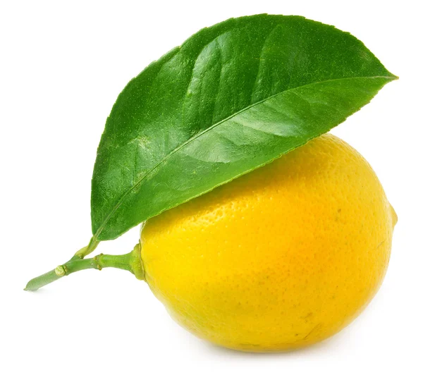 Лимон з листям ізольований на білому — стокове фото