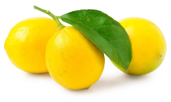 Tres limones aislados en blanco — Foto de Stock