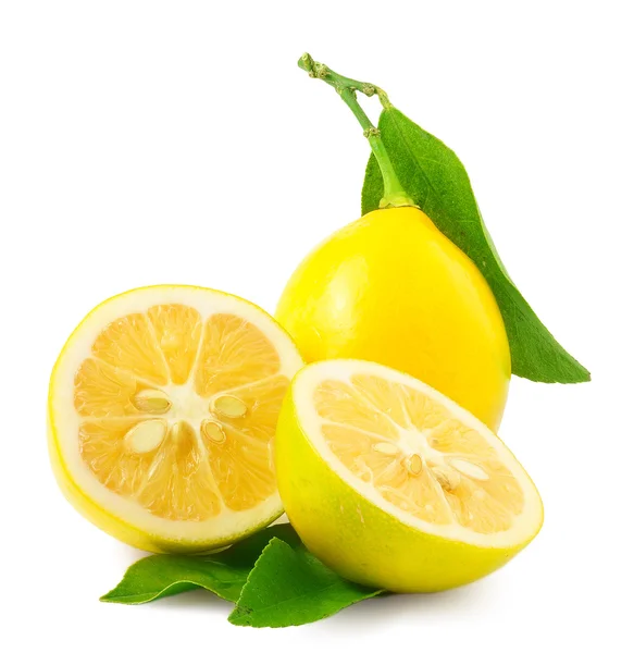 레몬. 반쯤익은 열매와 잎사귀를 흰색으로 분리시키는 과일 — 스톡 사진