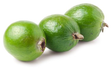 Fayjoa beyaz üzerine izole