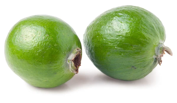 Feijoa geïsoleerd op wit — Stockfoto