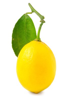 beyaz izole bir limon