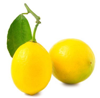 iki limon yaprağı