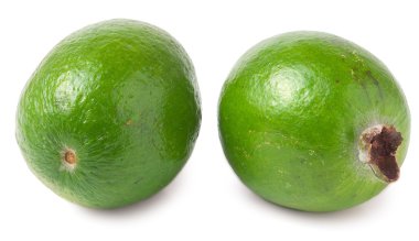 feijoa beyaz arkaplanda
