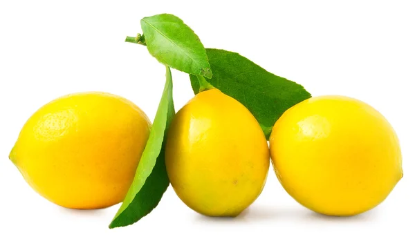 Tres grande, jugoso, hermoso limón sobre un fondo blanco — Foto de Stock