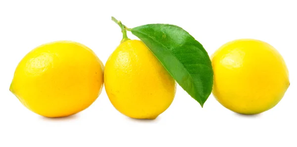 Tres grande, jugoso, hermoso limón sobre un fondo blanco — Foto de Stock